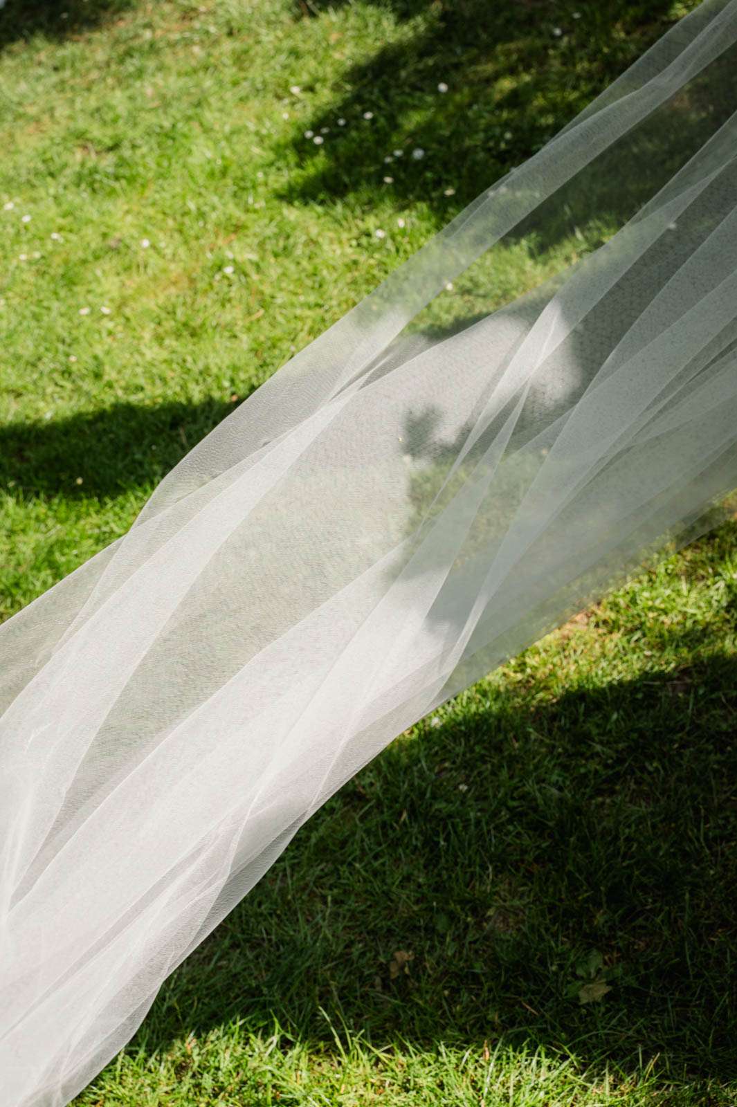 Schleier fliegt im Wind