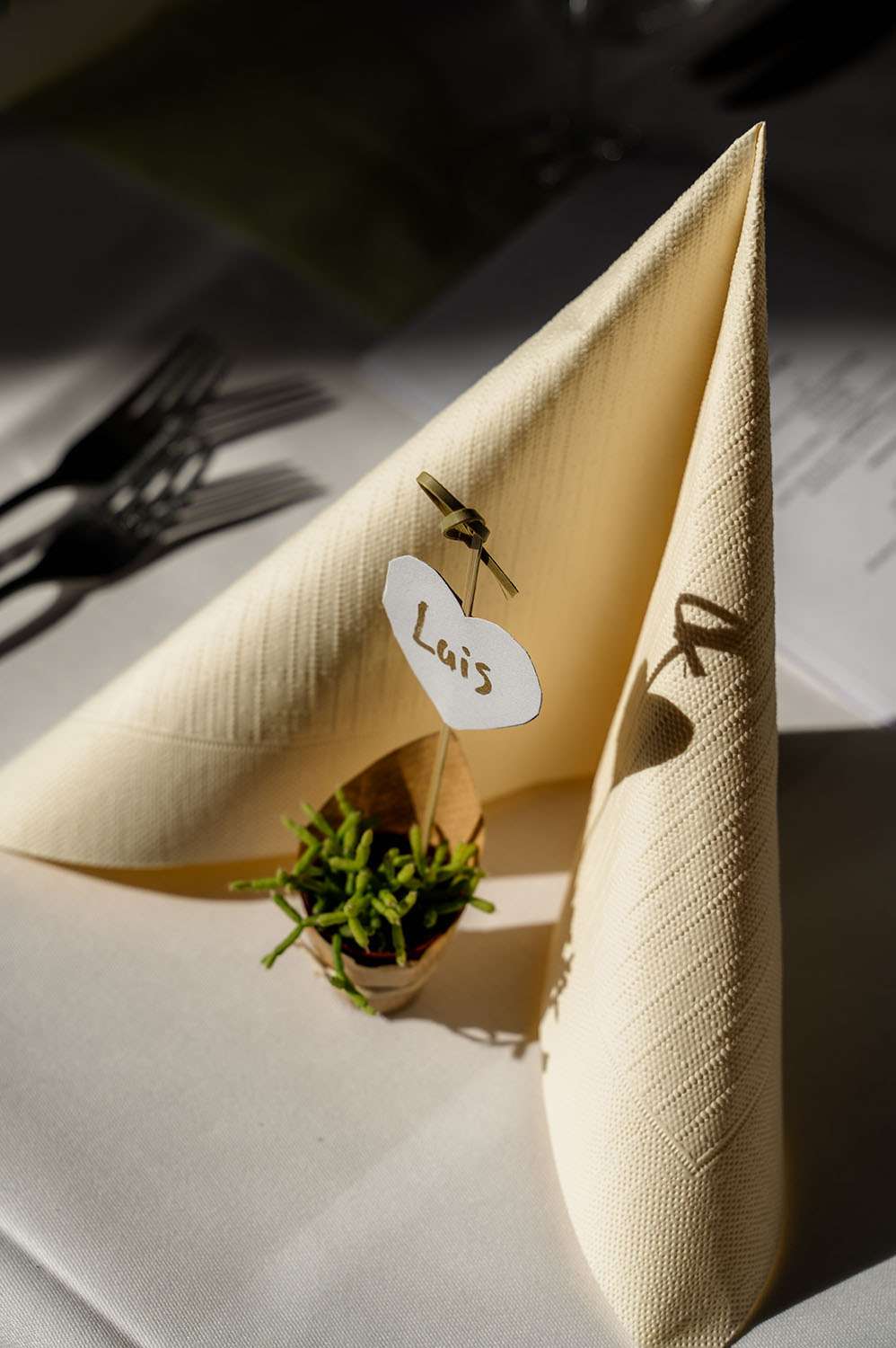 Serviette und Mini-Pflanze mit Namensschild
