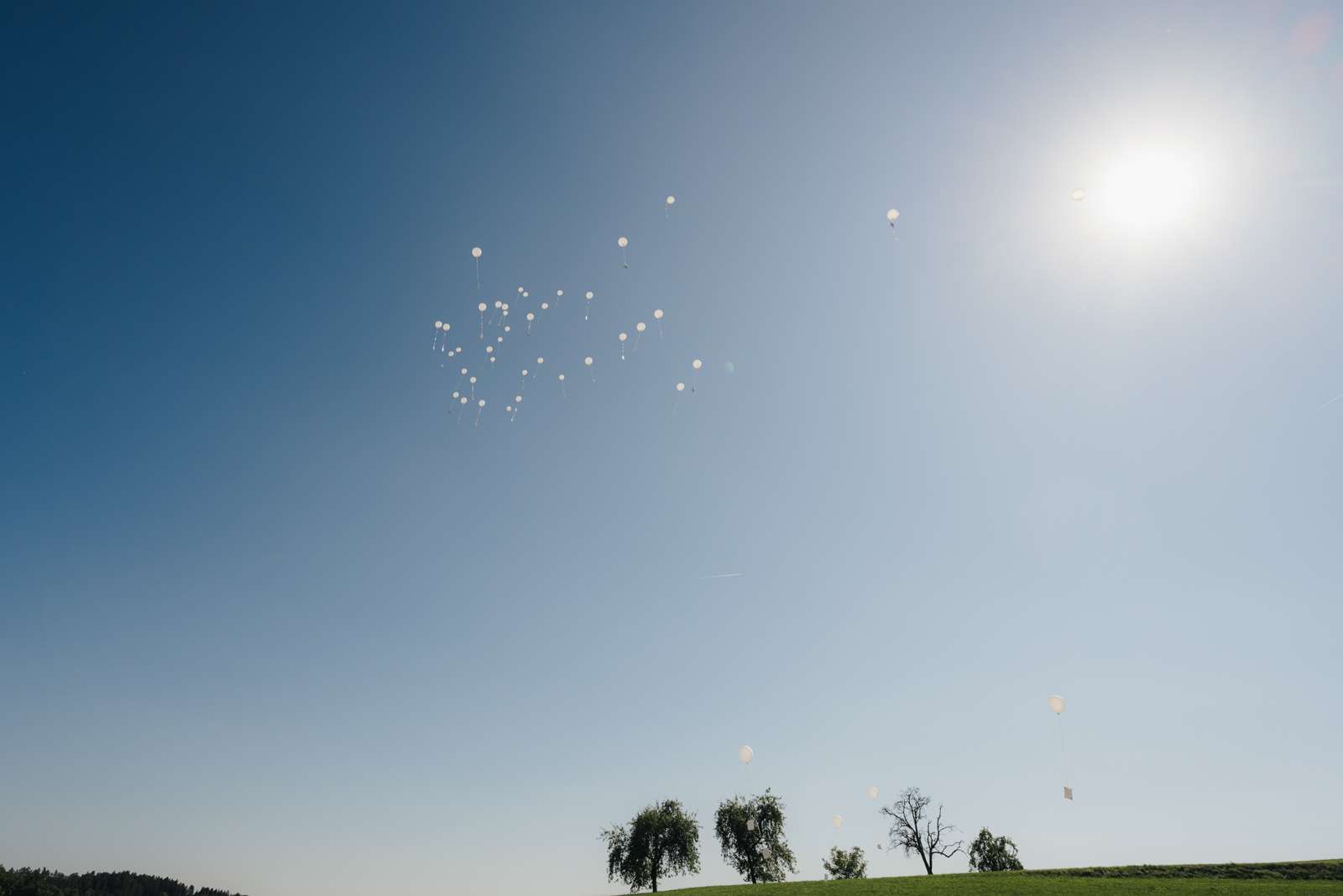 Ballons fliegen am Horizont