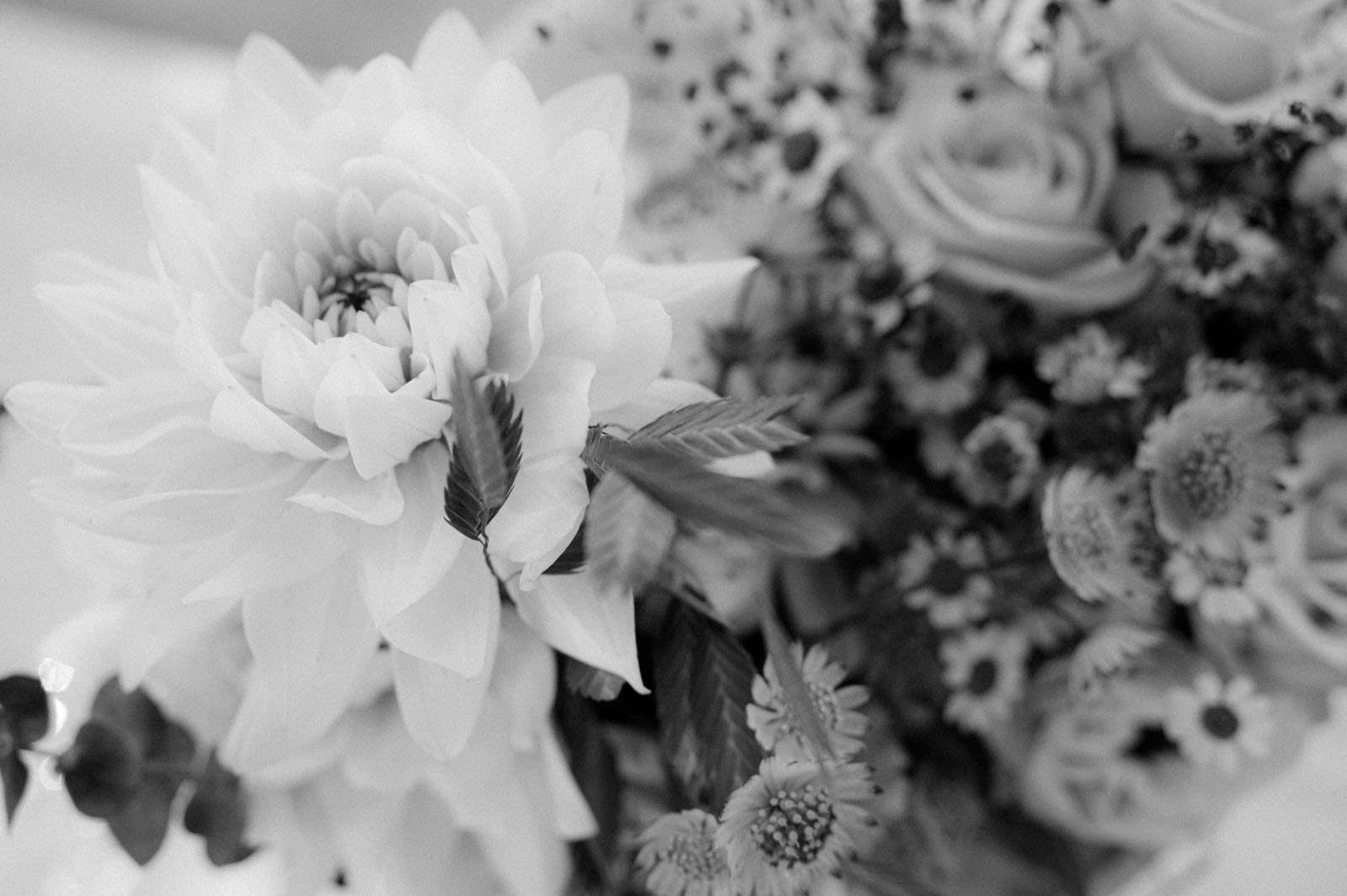 Blume in einem Brautstrauß