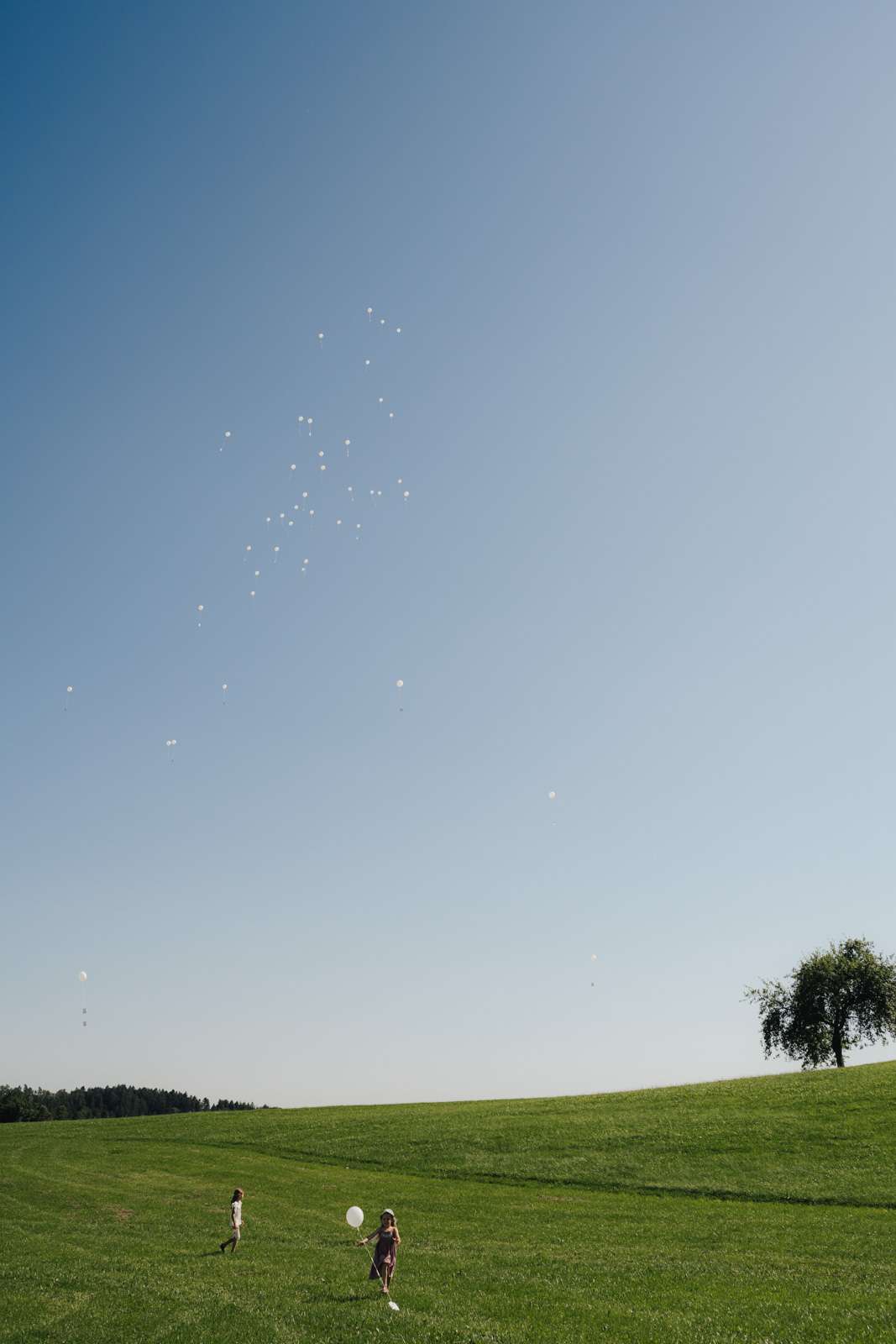 Ballons fliegen in den Himmel